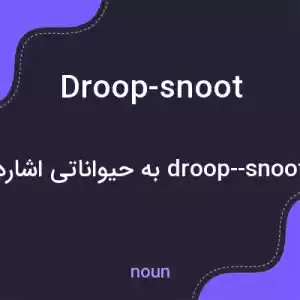 معنی droop-snoot به فارسی معنی droop-snoot به فارسی