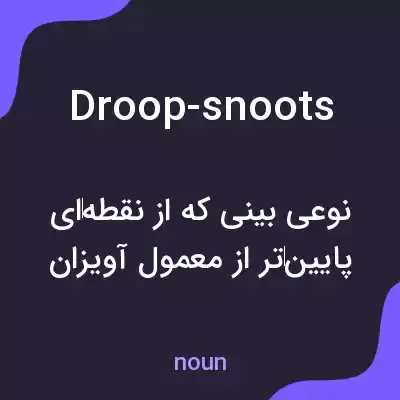 معنی droop-snoots به فارسی معنی droop-snoots به فارسی