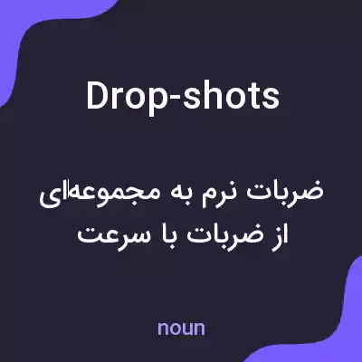 معنی drop-shots به فارسی معنی drop-shots به فارسی