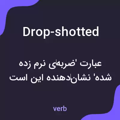 معنی drop-shotted به فارسی معنی drop-shotted به فارسی