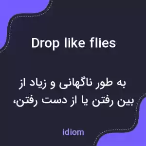 معنی drop like flies به فارسی معنی drop like flies به فارسی
