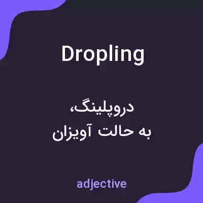 معنی dropling به فارسی معنی dropling به فارسی