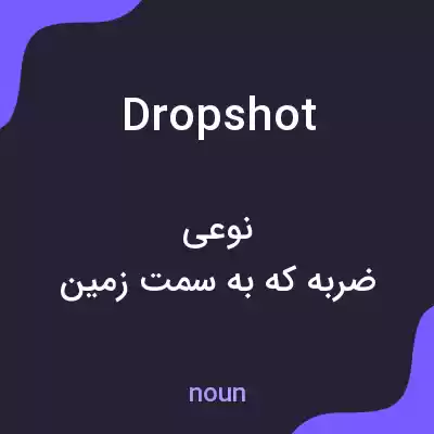 معنی drop shot به فارسی معنی drop shot به فارسی