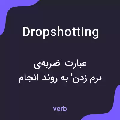 معنی dropshotting به فارسی معنی dropshotting به فارسی