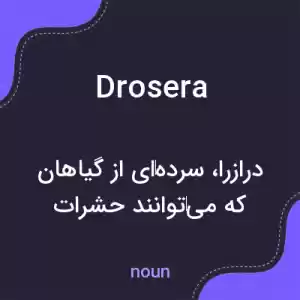 معنی drosera به فارسی معنی drosera به فارسی