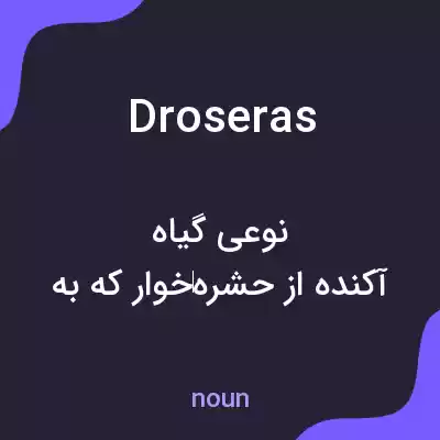 معنی droseras به فارسی معنی droseras به فارسی
