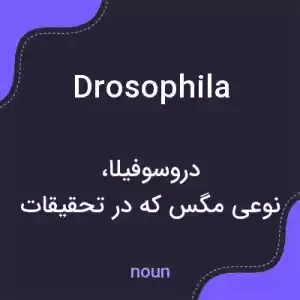 معنی drosophila به فارسی معنی drosophila به فارسی