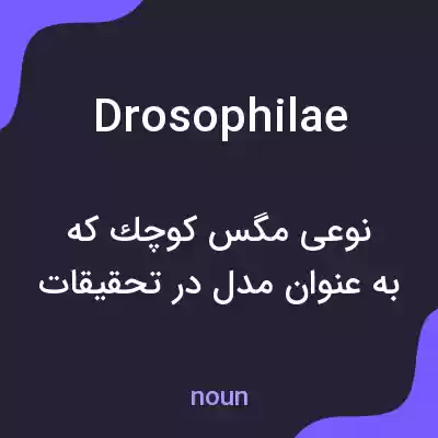 معنی drosophilae به فارسی معنی drosophilae به فارسی