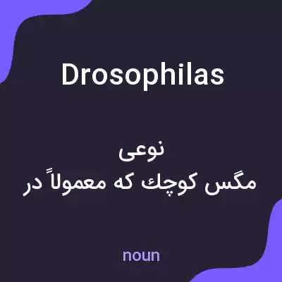 معنی drosophilas به فارسی معنی drosophilas به فارسی