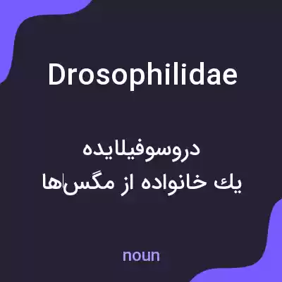 معنی drosophilidae به فارسی معنی drosophilidae به فارسی