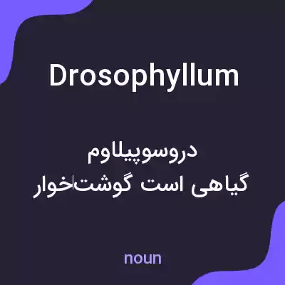 معنی drosophyllum به فارسی معنی drosophyllum به فارسی