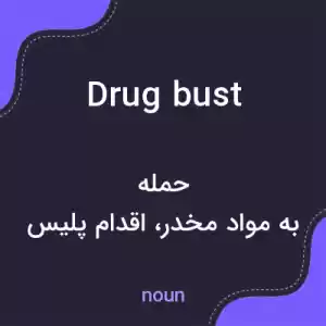 معنی drug bust به فارسی