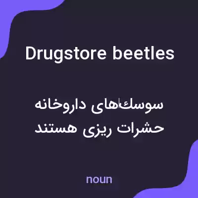 معنی drugstore beetles به فارسی