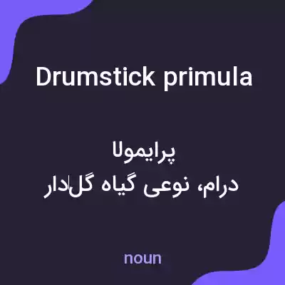 معنی drumstick primula به فارسی معنی drumstick primula به فارسی