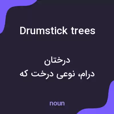 معنی drumstick trees به فارسی معنی drumstick trees به فارسی