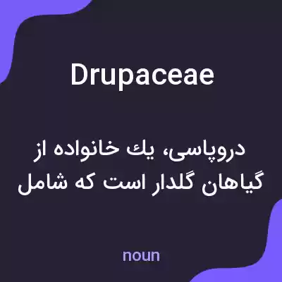 معنی drupaceae به فارسی معنی drupaceae به فارسی