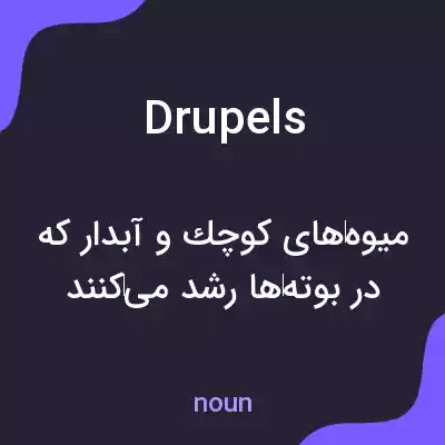 معنی drupels به فارسی معنی drupels به فارسی