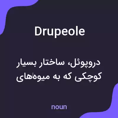 معنی drupeole به فارسی معنی drupeole به فارسی