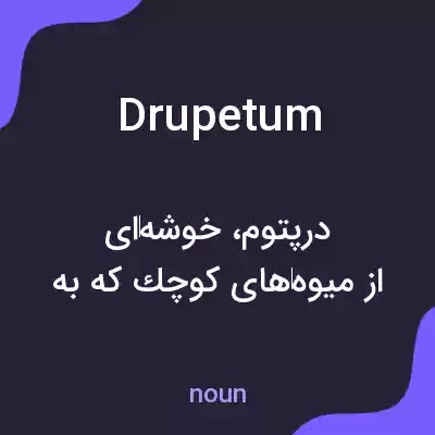 معنی drupetum به فارسی معنی drupetum به فارسی