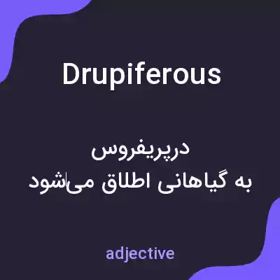 معنی drupiferous به فارسی معنی drupiferous به فارسی