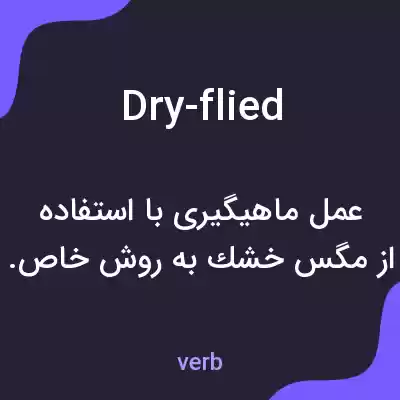 معنی dry-flied به فارسی معنی dry-flied به فارسی