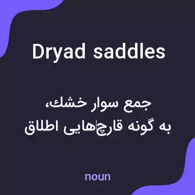 معنی dryad saddles به فارسی معنی dryad saddles به فارسی