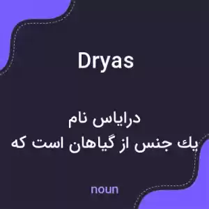 معنی dryas به فارسی