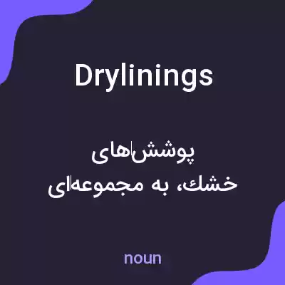 معنی drylinings به فارسی معنی drylinings به فارسی