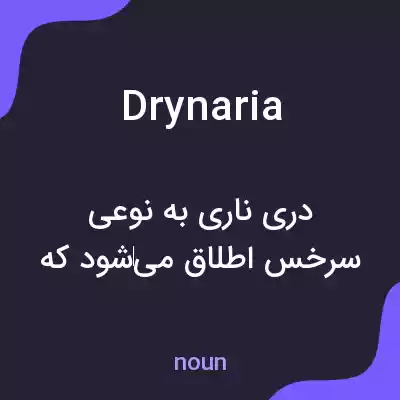 معنی drynaria به فارسی