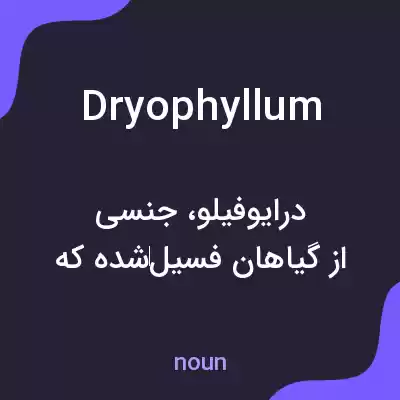 معنی dryophyllum به فارسی معنی dryophyllum به فارسی