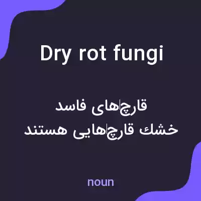 معنی dry rot fungi به فارسی معنی dry rot fungi به فارسی