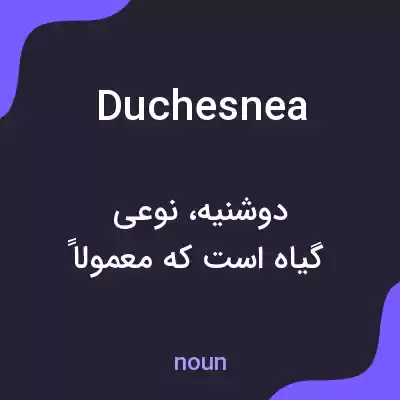 معنی duchesnea به فارسی معنی duchesnea به فارسی
