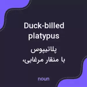 معنی duck-billed platypus به فارسی معنی duck-billed platypus به فارسی