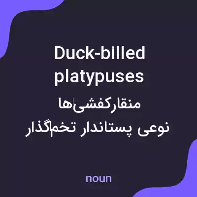 معنی duck-billed platypuses به فارسی معنی duck-billed platypuses به فارسی