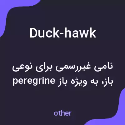 معنی duck-hawk به فارسی معنی duck-hawk به فارسی
