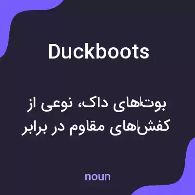 معنی duck boots به فارسی معنی duck boots به فارسی