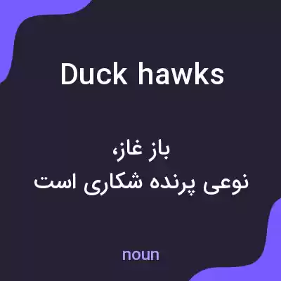 معنی duck hawks به فارسی معنی duck hawks به فارسی