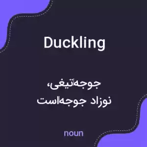 معنی duckling به فارسی معنی duckling به فارسی
