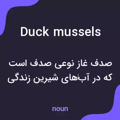 معنی duck mussels به فارسی معنی duck mussels به فارسی