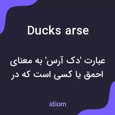 معنی ducks arse به فارسی معنی ducks arse به فارسی
