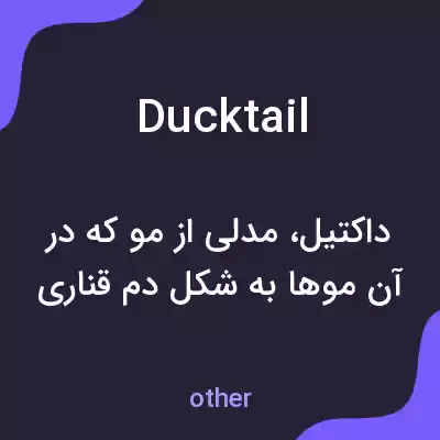 معنی ducktail به فارسی معنی ducktail به فارسی