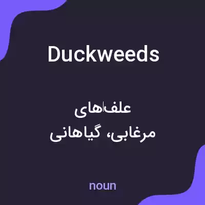 معنی duckweeds به فارسی معنی duckweeds به فارسی