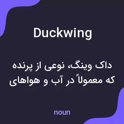 معنی duckwing به فارسی معنی duckwing به فارسی