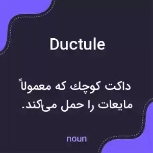 معنی ductule به فارسی معنی ductule به فارسی
