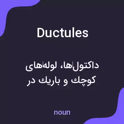 معنی ductules به فارسی معنی ductules به فارسی