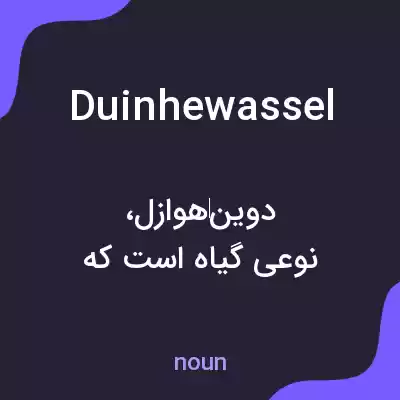 معنی duinhewassel به فارسی معنی duinhewassel به فارسی