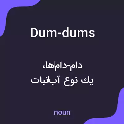 معنی dum-dums به فارسی معنی dum-dums به فارسی