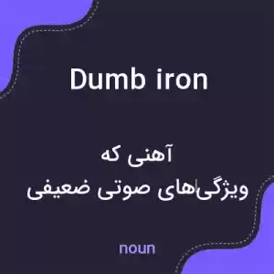 معنی dumb iron به فارسی معنی dumb iron به فارسی