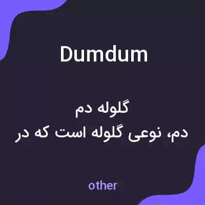 معنی dumdum به فارسی معنی dumdum به فارسی
