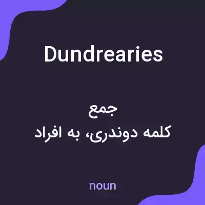 معنی dundrearies به فارسی